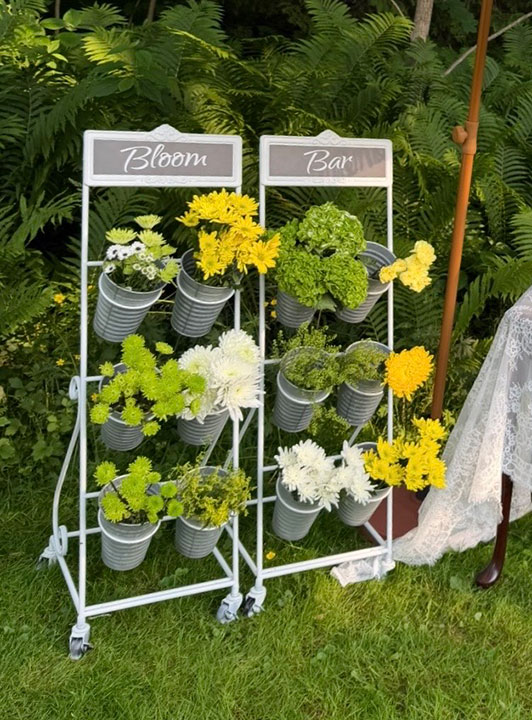 Bloom/Bar Stands
